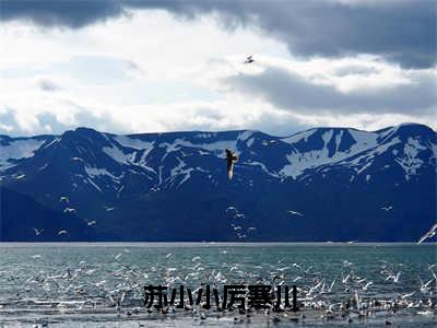 免费+后续苏小小厉寒川（厉寒川苏小小）快手热推小说主角苏小小厉寒川完整版在线阅读