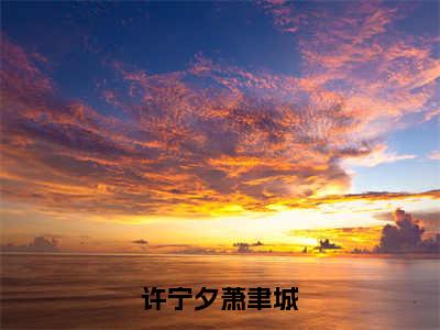 许宁夕萧聿城的小说（许宁夕萧聿城）免费阅读_许宁夕萧聿城小说免费阅读-笔趣阁