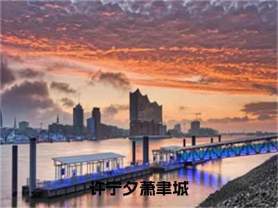 榜单小说许宁夕萧聿城全文免费阅读无弹窗大结局-许宁夕萧聿城全文在线阅读