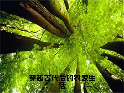 陈星小说在哪里可以看穿越古代后的农家生活-小说《穿越古代后的农家生活》陈星免费阅读