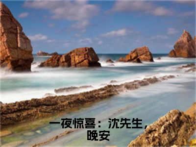 夏初沈寒川（一夜惊喜：沈先生，晚安）全文免费阅读无弹窗大结局_夏初沈寒川免费阅读无弹窗最新章节列表_笔趣阁