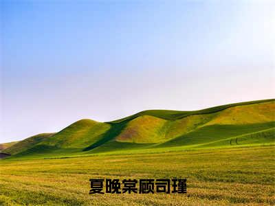 夏晚棠顾司瑾（夏晚棠顾司瑾）全文免费阅读无弹窗大结局_（夏晚棠顾司瑾全文阅读）夏晚棠顾司瑾无弹窗最新章节列表