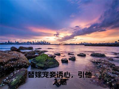 苏娆（替嫁宠妾诱心，引他入局）全文在线阅读无弹窗大结局_（替嫁宠妾诱心，引他入局）最新章节列表_笔趣阁