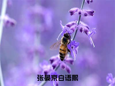 白语熙张晏京长篇免费小说，张晏京白语熙最新章节在线阅读