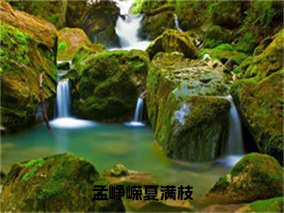 孟峥嵘夏满枝（夏满枝孟峥嵘）全文免费阅读无弹窗大结局-孟峥嵘夏满枝免费阅读全文大结局-笔趣阁