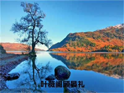 叶薇阑顾晏礼（叶薇阑顾晏礼）全文免费阅读无弹窗大结局_叶薇阑顾晏礼全文免费阅读_笔趣阁（叶薇阑顾晏礼）