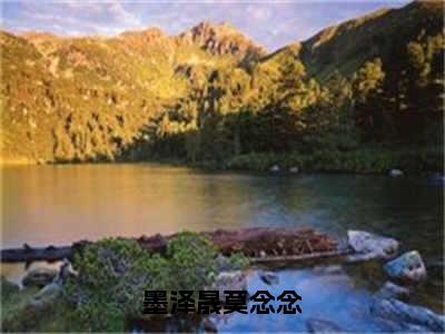 莫念念墨泽晟（墨泽晟莫念念全章节完整版）免费阅读_（莫念念墨泽晟）全文无删减免费阅读（莫念念墨泽晟）