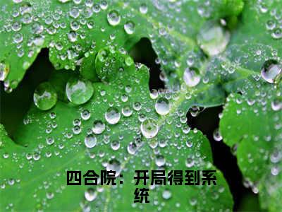 四合院：开局得到系统（刘晓燕）全文免费阅读无弹窗_四合院：开局得到系统（刘晓燕小说完整版）最新章节列表