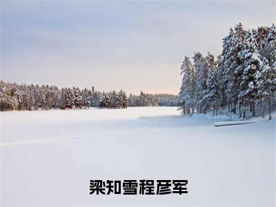 程彦军梁知雪快手小说（梁知雪程彦军）txt阅读大结局-抖音近期热门程彦军梁知雪全文免费