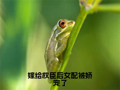 乔菁菁嫁给权臣后女配被娇宠了全文免费完整版，乔菁菁最新章节完整版阅读