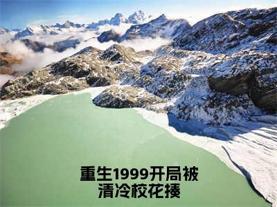 重生1999开局被清冷校花揍最新章节（王易）全文免费阅读无弹窗大结局_王易免费阅读