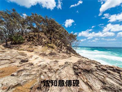 沈知意傅砚（傅砚沈知意）全文免费阅读_（傅砚沈知意）最新章节列表笔趣阁（傅砚沈知意）