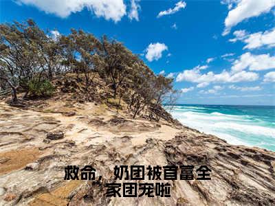 救命，奶团被首富全家团宠啦（江雨鸢）全文免费阅读_救命，奶团被首富全家团宠啦（江雨鸢）最新章节列表笔趣阁