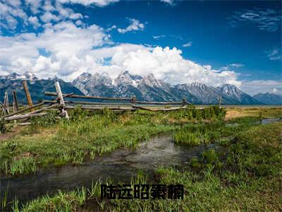 陆远昭秦楠精彩小说-陆远昭秦楠全章节免费阅读