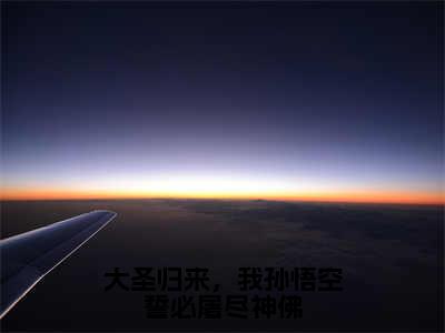 大圣归来，我孙悟空誓必屠尽神佛全文（孙悟空）小说免费阅读无弹窗大结局_大圣归来，我孙悟空誓必屠尽神佛全文无弹窗完整版阅读