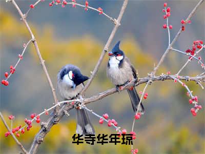 华年琼华寺（华寺华年琼）全文免费阅读无弹窗大结局_（华年琼华寺）华寺华年琼最新章节列表