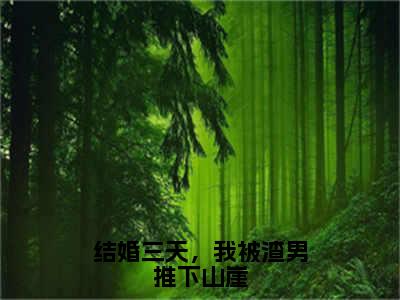 结婚三天，我被渣男推下山崖（林苒容熠川）最新免费阅读-结婚三天，我被渣男推下山崖小说在线阅读（后续+全集）