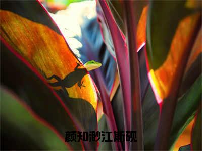 颜知渺江斯砚（颜知渺江斯砚）全文免费阅读无弹窗大结局_（颜知渺江斯砚）小说免费阅读无弹窗最新章节列表