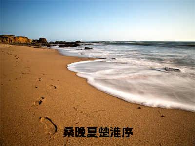 小说桑晚夏楚淮序（桑晚夏楚淮序）全文免费阅读-最火热门小说桑晚夏楚淮序最新章节更新