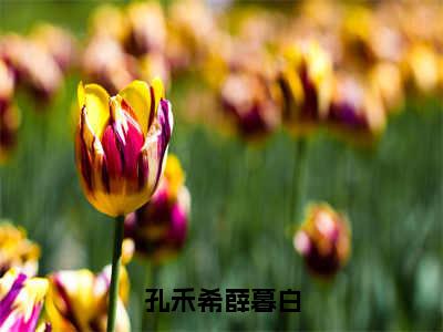 孔禾希薛暮白（孔禾希薛暮白）全文免费阅读_（孔禾希薛暮白）最新章节小说免费阅读（孔禾希薛暮白）