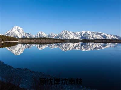 顾忱岸沈南枝全文免费大结局顾忱岸沈南枝小说在线阅读