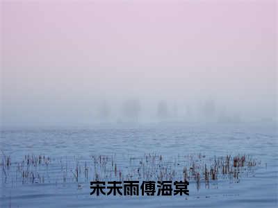 宋未雨傅海棠全文小说（傅海棠宋未雨）在线阅读无弹窗大结局_傅海棠宋未雨全文在线阅读无弹窗