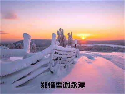 小说名字是：郑惜雪谢永淳小说免费阅读无弹窗，小说名字是：郑惜雪谢永淳的小说在线阅读无删减