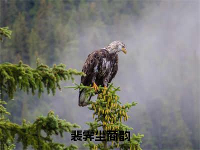 小说《裴霁尘商韵》全文免费阅读无弹窗-商韵裴霁尘小说全文在线赏析