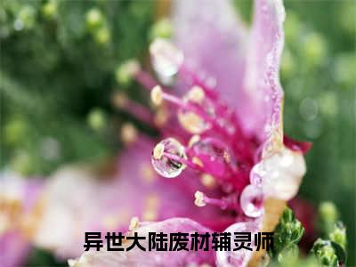 宋榴花凤辞（异世大陆废材辅灵师）全文免费阅读-（宋榴花凤辞）异世大陆废材辅灵师最新章节小说阅读-笔趣阁