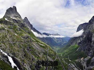 迟音辛野（辛野迟音）小说大结局免费阅读（辛野迟音）-完结版迟音辛野小说推荐