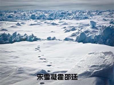 宋雪凝霍邵廷小说全文（宋雪凝霍邵廷）完整版阅读-宋雪凝霍邵廷小说全文无删减版