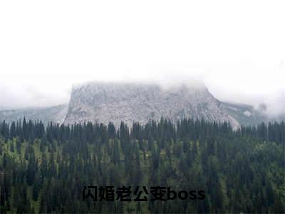 闪婚老公变boss（墨景天姜沫）全文免费阅读无弹窗大结局_闪婚老公变boss小说全文免费阅读最新章节列表（墨景天姜沫）