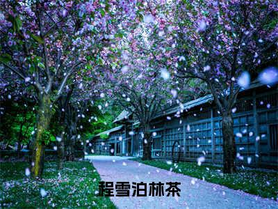 【新书】《林茶程雪泊》全文免费阅读无弹窗大结局-程雪泊林茶全文全章节免费阅读