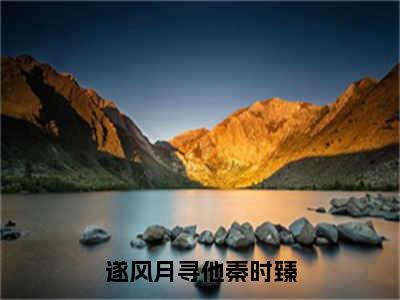 遂风月寻他秦时臻（宋清欢秦时臻）全文免费阅读无弹窗大结局_宋清欢秦时臻最新章节列表