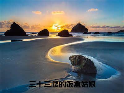 夏楚楚（三十三楼的饭盒姑娘）全文免费阅读无弹窗_夏楚楚最新小说_笔趣阁（三十三楼的饭盒姑娘）