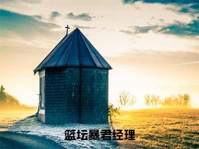 篮坛暴君经理（白苓傅琛）全文免费阅读无弹窗_白苓傅琛小说_笔趣阁