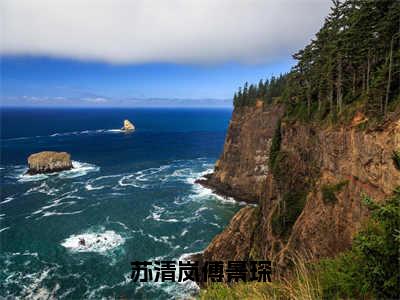 苏清岚傅景琛（苏清岚傅景琛）全文免费阅读无弹窗大结局_（苏清岚傅景琛小说免费阅读）_笔趣阁