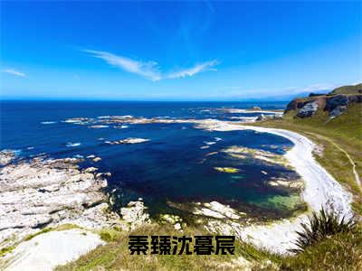 秦臻沈暮宸全文（秦臻沈暮宸）小说免费阅读无弹窗大结局_秦臻沈暮宸全文无弹窗完整版阅读