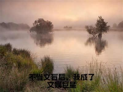 不当文盲后，我成了文娱巨星（晏知沈棠）全文免费阅读无弹窗大结局_不当文盲后，我成了文娱巨星全文在线阅读无弹窗