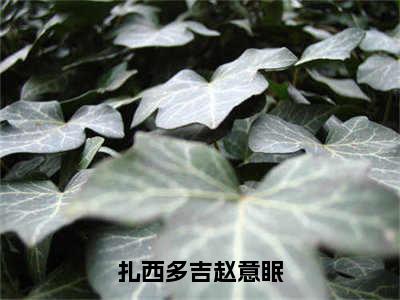 赵意眠扎西多吉（扎西多吉赵意眠）全文免费阅读无弹窗大结局_（赵意眠扎西多吉阅读无弹窗）扎西多吉赵意眠最新章节列表