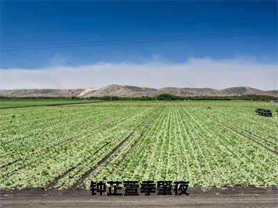 钟芷萱季肇夜（钟芷萱季肇夜）抖音热推小说全集无删减_（钟芷萱季肇夜免费阅读全文大结局）最新章节列表_笔趣阁