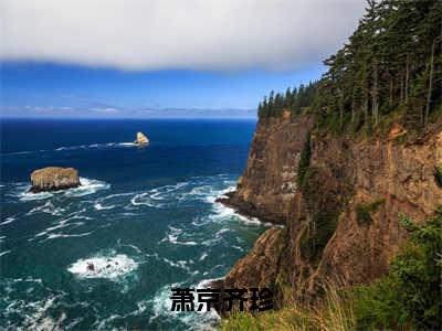 萧京齐珍小说精彩章节今日阅读更新-（萧京齐珍小说）免费阅读小说全文