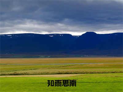 知雨思南（沈知雨陆斯南）全文免费阅读无弹窗_沈知雨陆斯南最新小说精彩推荐