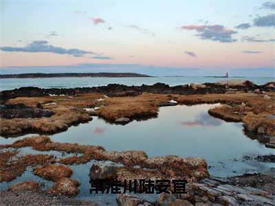 主角是陆安宜常淮川的小说-常淮川陆安宜全文无弹窗免费阅读