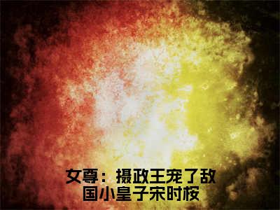 女尊：摄政王宠了敌国小皇子宋时桉沐云幽宋时桉小说（沐云幽宋时桉）全文免费阅读无弹窗大结局_沐云幽宋时桉小说最新章节列表_笔趣阁