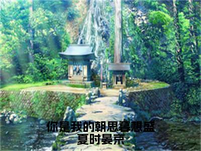 （番外）+（全文）你是我的朝思暮想盛夏时晏京（时晏京盛夏）精彩小说-小说时晏京盛夏全文无删减版免费阅读