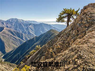 陆安宜常淮川小说精彩章节今日阅读更新-（陆安宜常淮川小说）免费阅读小说全文