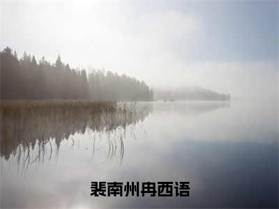 裴南州冉西语最新章节（冉西语裴南州）全文免费阅读无弹窗大结局_冉西语裴南州免费阅读