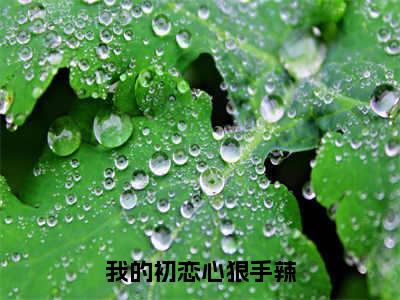 后续+全集初央（完整版）热文小说阅读-初央全文抖音热推