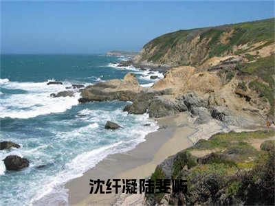 沈纤凝陆斐屿沈纤凝陆斐屿小说（沈纤凝陆斐屿）全文免费阅读无弹窗大结局_沈纤凝陆斐屿小说最新章节列表_笔趣阁